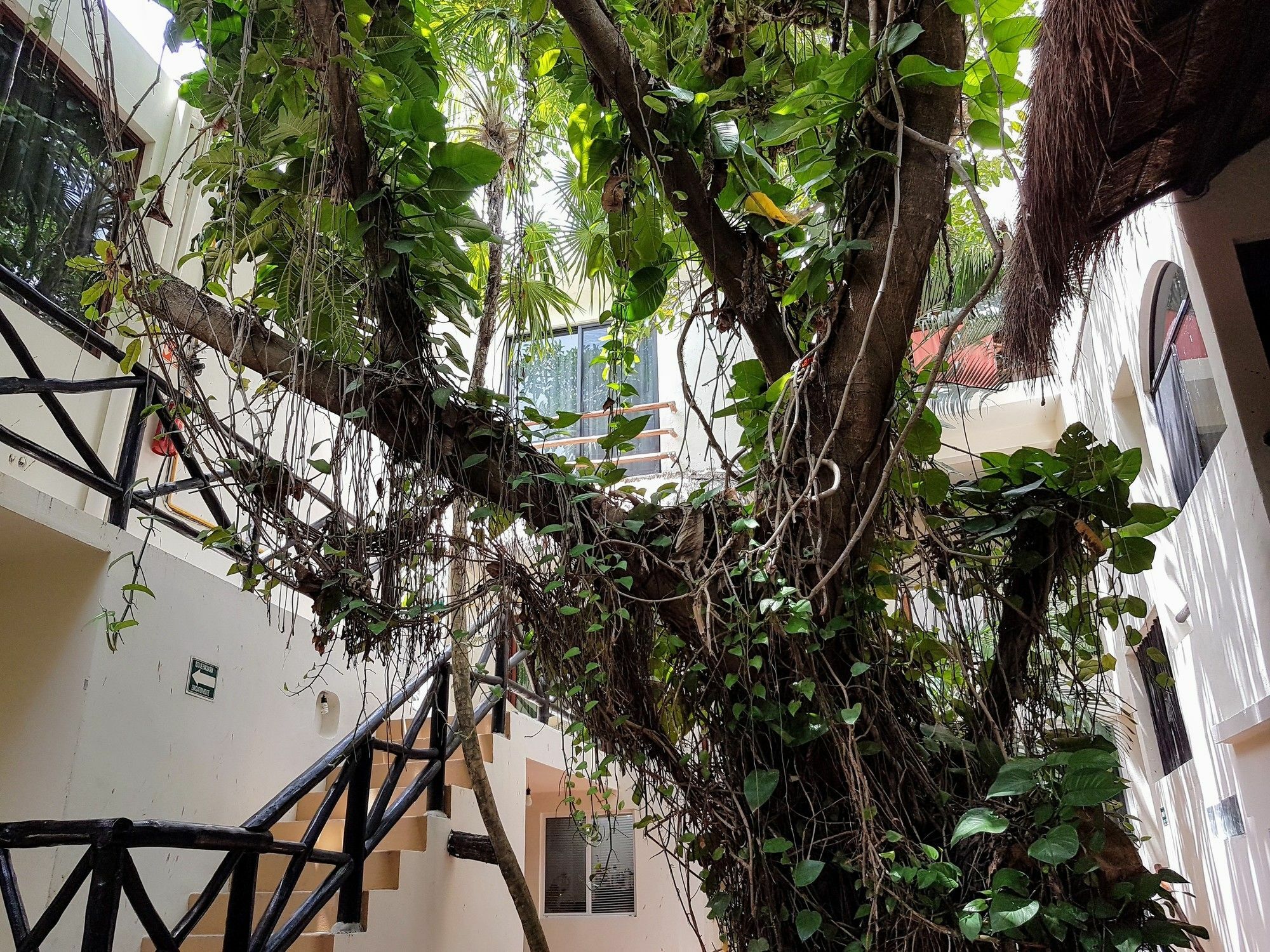 Hotel Club Yebo Playa del Carmen Exteriér fotografie